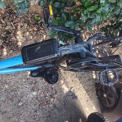 Kaijlelaisi Ebike 48 Volt 2000 Watt Dual Motor