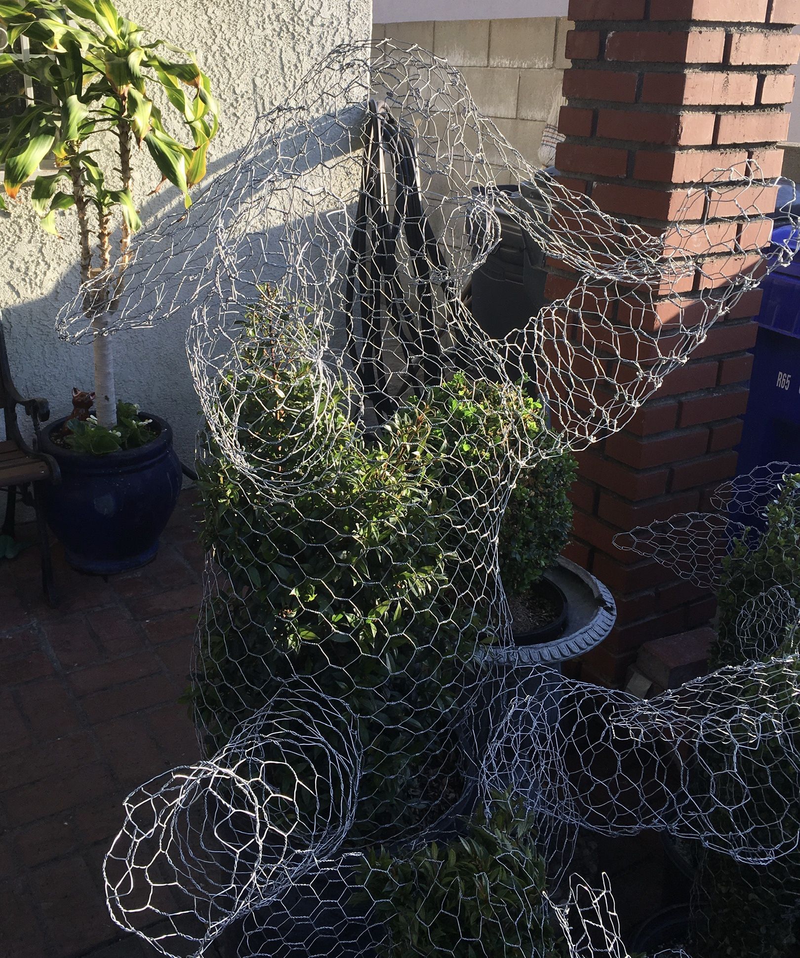 REGALLOS Topiarios -Borracha Animales - GIFTS! Topiary Plants Many Shapes ! Dolphins Bears Horses Mickey Minnie Mouse