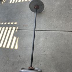 Weight Plates / Bar.     65 Dollars 