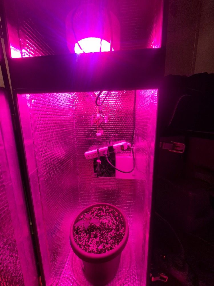 Grow Box