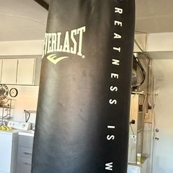 Everlast Punching bag