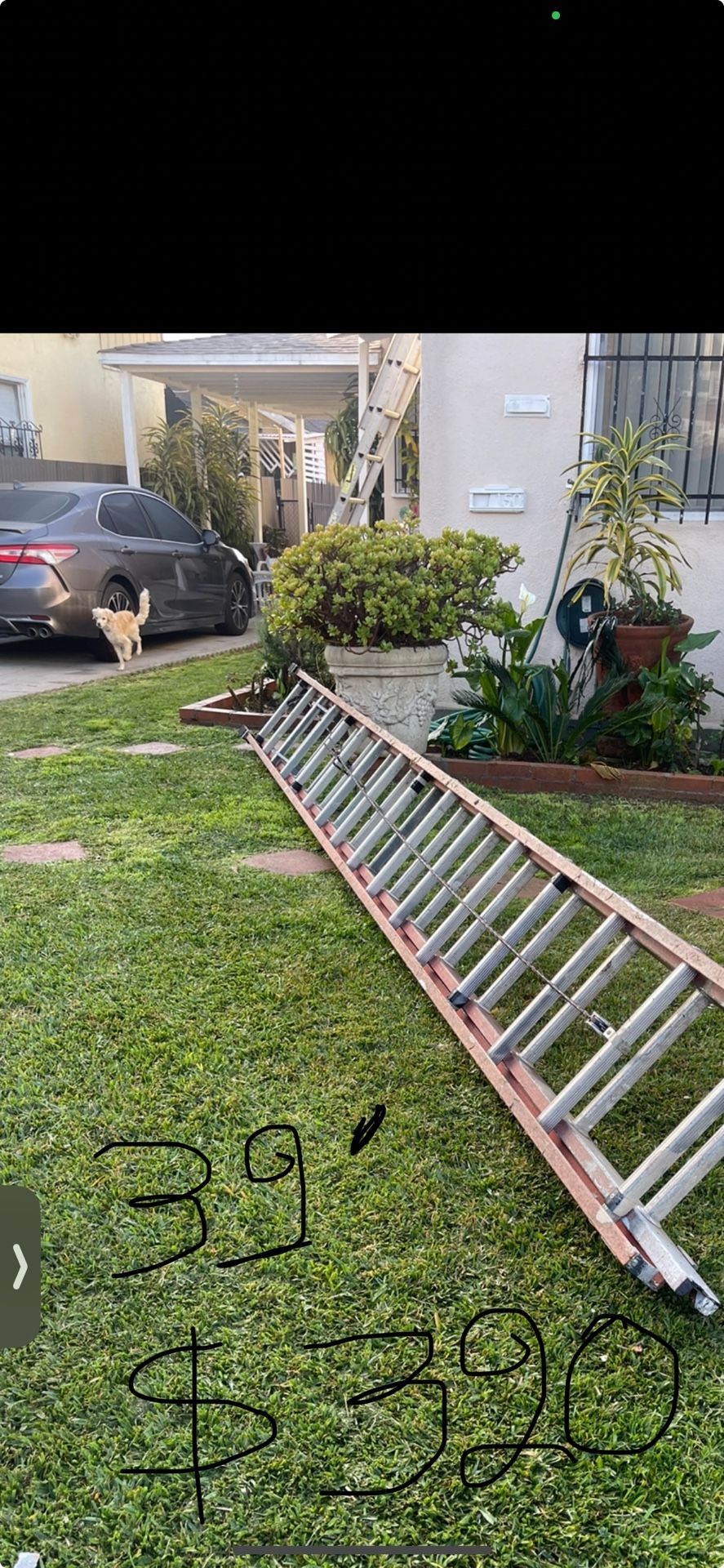 Excellent Condition Different Sizes Fiber Glass Extension Ladders