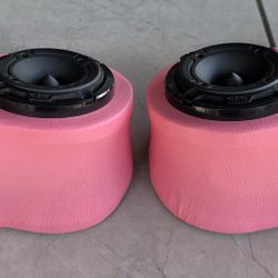 Pink Blossom Speaker Roof Racl