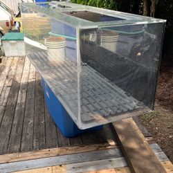 100 Gallon Plexiglas Fish Tank