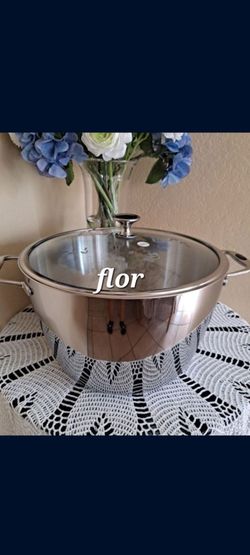 OLLA DE 16 QT PH HEALTHY COOK SOLUTIONS PRINCESS HOUSE 🌹⚘️