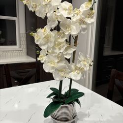 Brand New Beautiful Large Orchard Floarl With Perfect Condition 