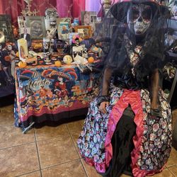 Catrina Costume