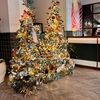 Lupita Govea