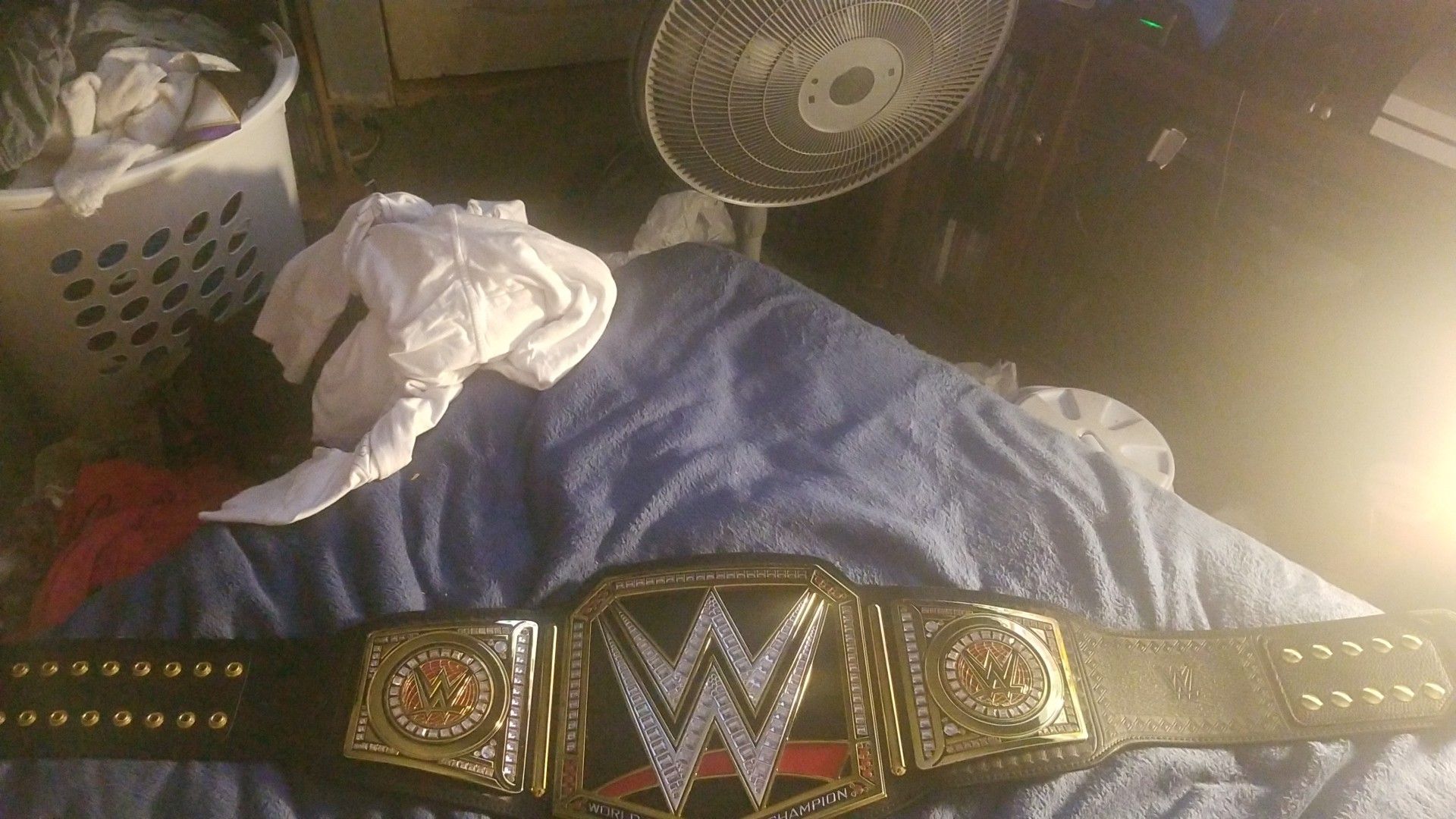 Wwe belt