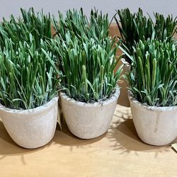 Pier 1 Faux Grass Potted Plants 