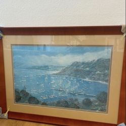 Picture, Expensive Custom Frame