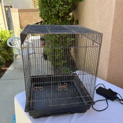 Bird Cage $30 