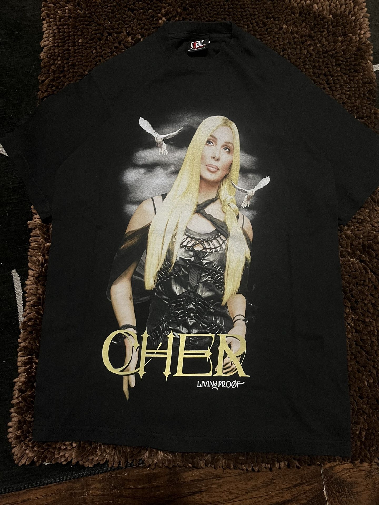 Vintage Cher Living Proof Tour 2002