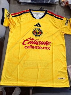 Chivas y América