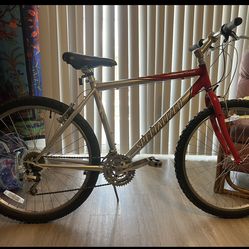 Vintage Specialized Hardrock Mtn Bike 19in