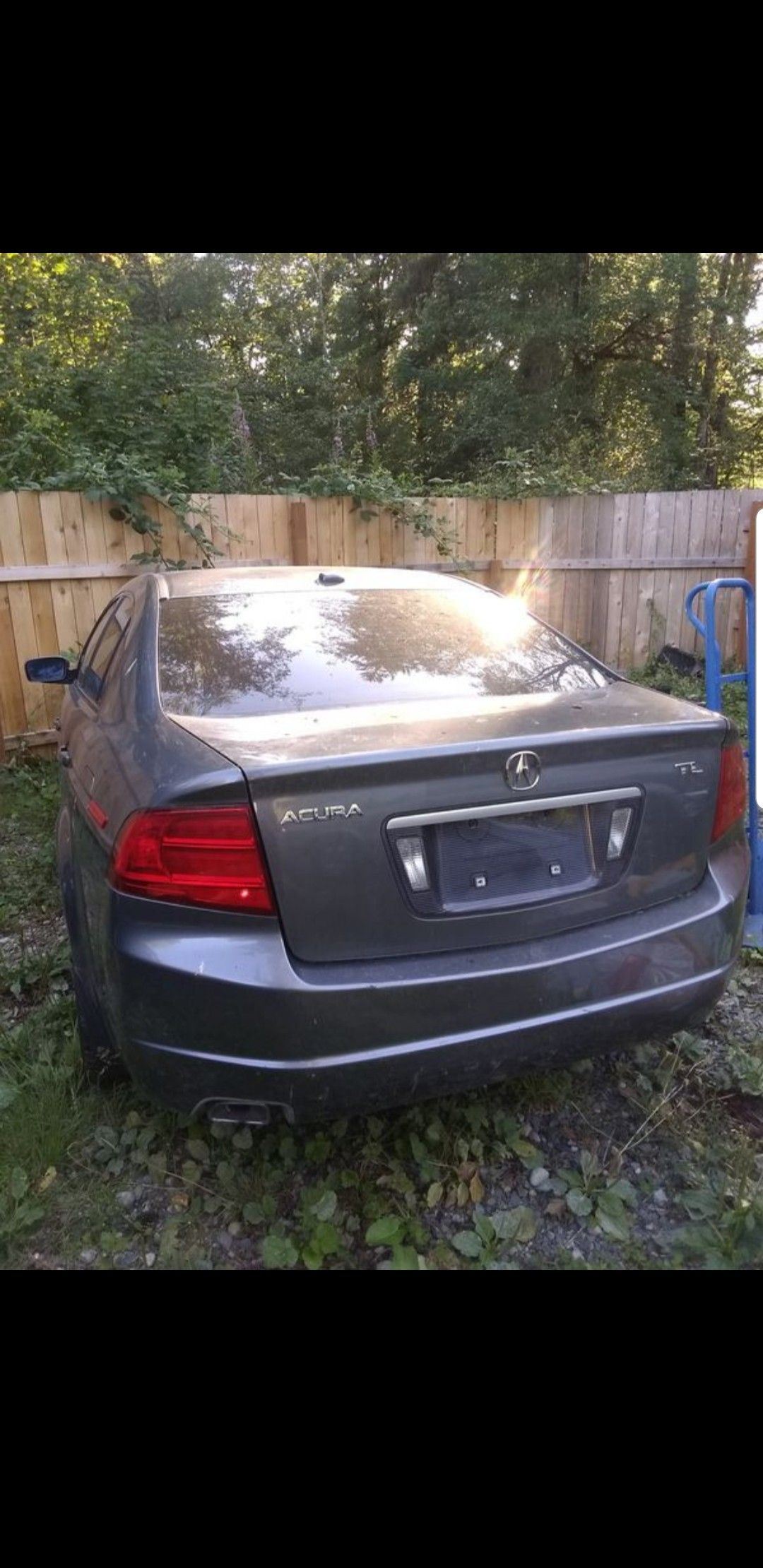 2005 Acura TL Parts / Parting Out