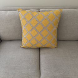 Pottery Barn 20in Pillows