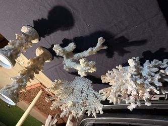 Decorative coral 5 piece