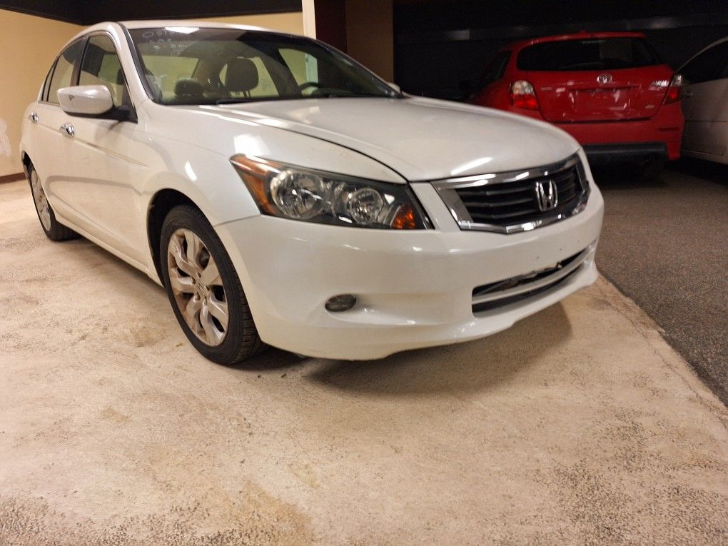 2011 Honda Accord