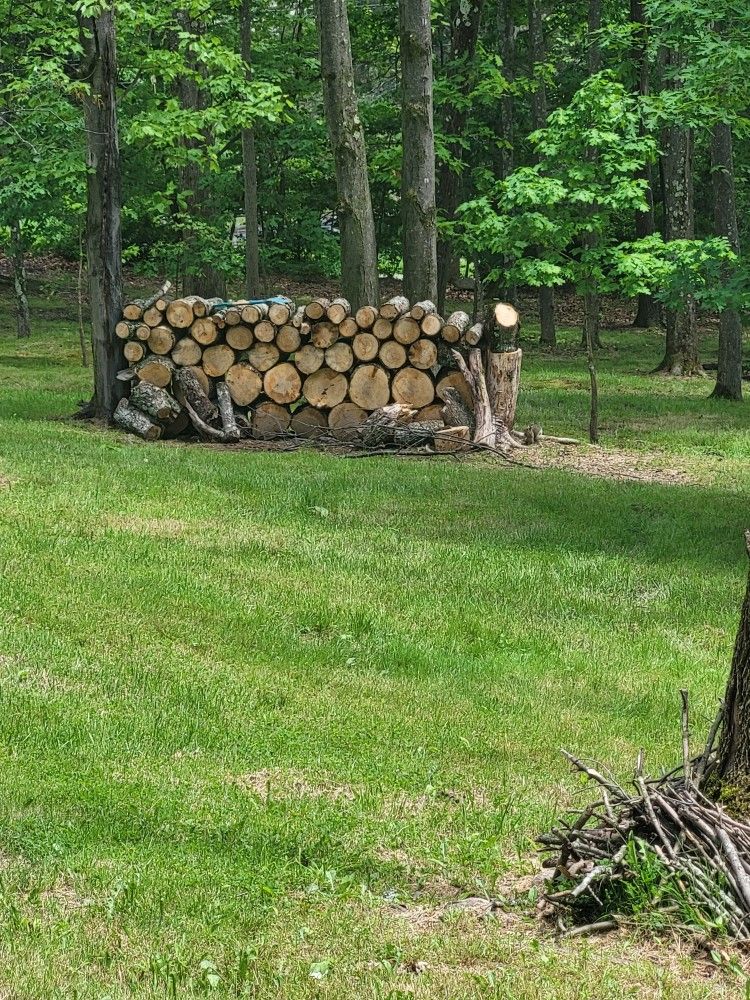 Firewood For Camping!