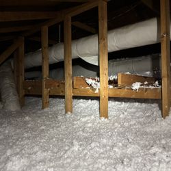 Insulation 