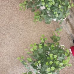 2 Beautiful Clean Artificial Plants EXCELLENT Condition Asking $40 For The Set Or $25 Each Must Pick Up Broadway And APACHE BUCKEYE AZ CASH ONLY PLS 