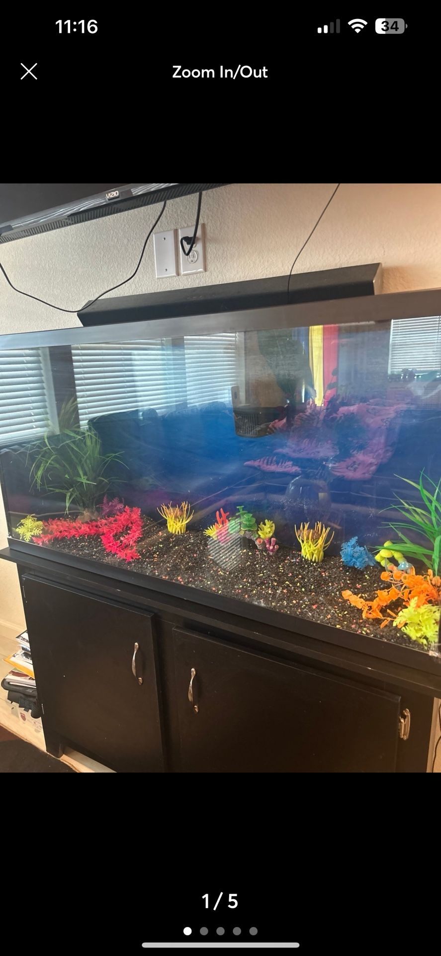 Fish Tank