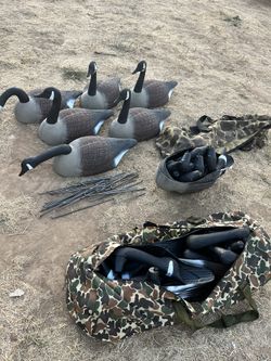 Goose Decoys
