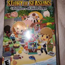 Story Of Seasons Nintendo Game