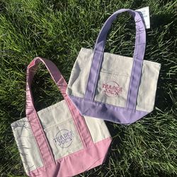 Trader Joe’s bag mini
