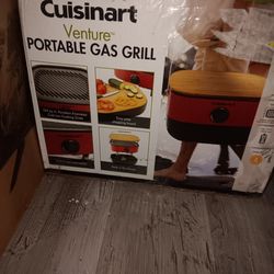 Portable Gas Grill 