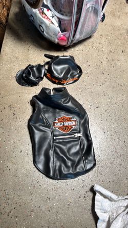two medium For dogs size small to medium