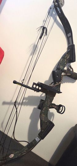 Compound Bow
