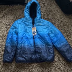 Blue Puffer