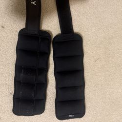 Ankle and arm sand weight