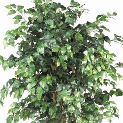 Artificial Ficus Tree 