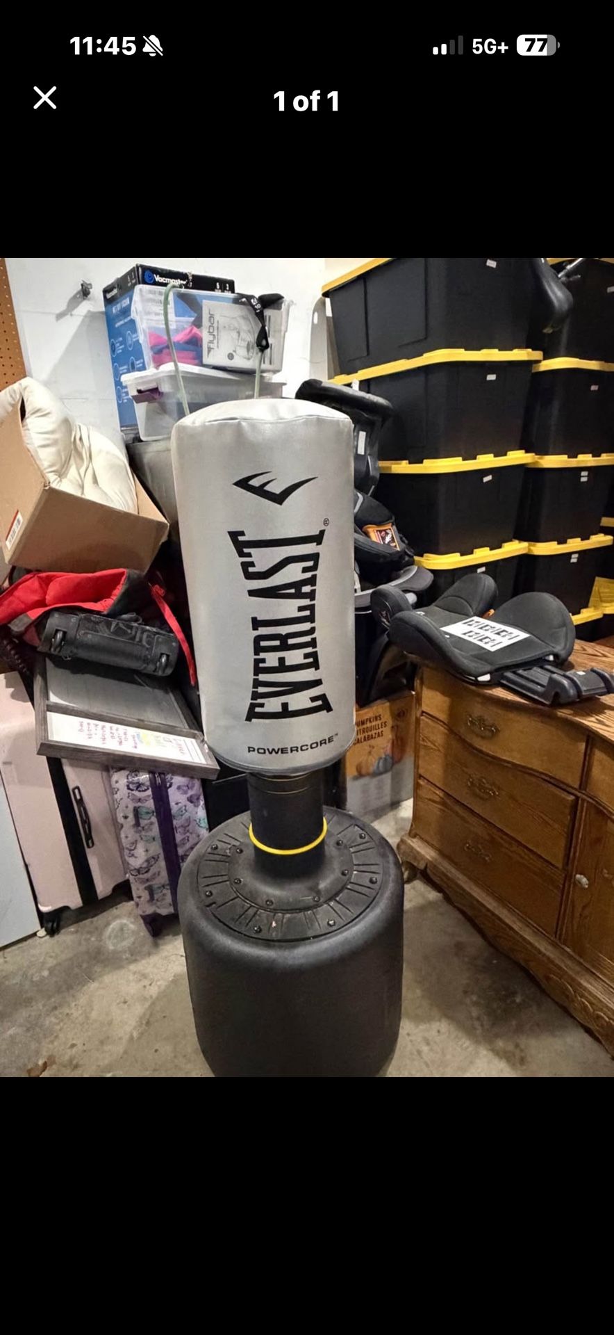Everlast PowerCore Freestanding Punching Bag