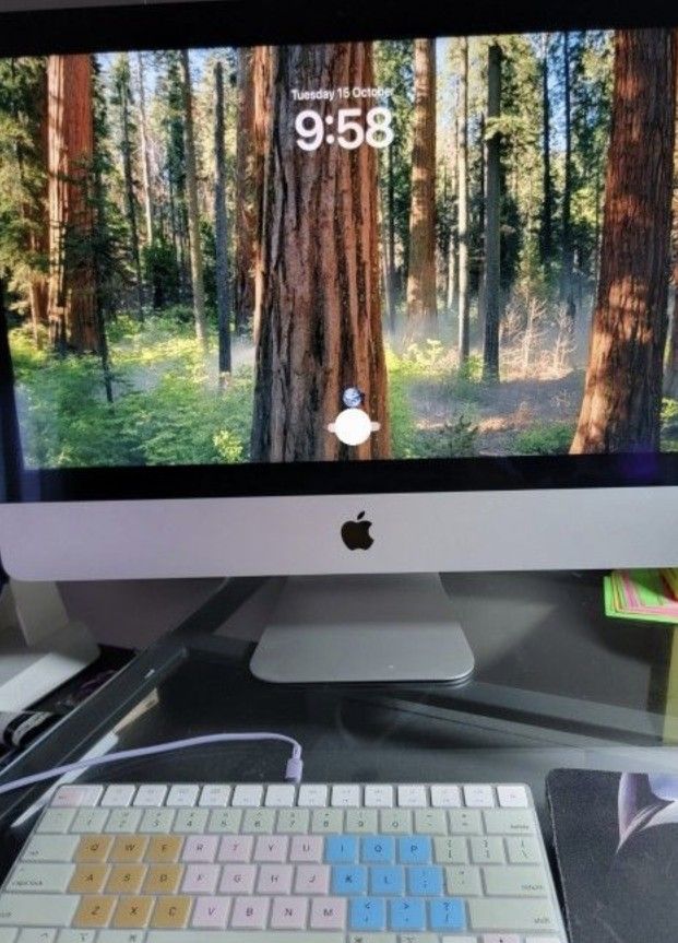 MAC Desktop 2019