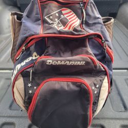 Demarini Voodoo