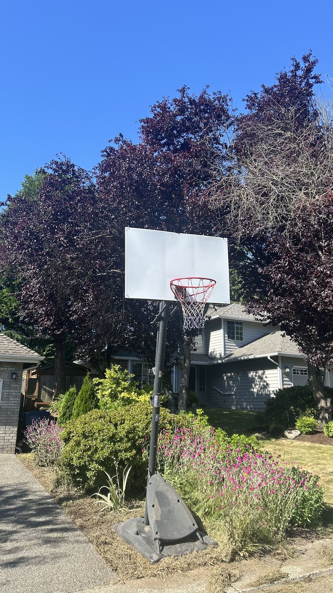 Basketball Hoop