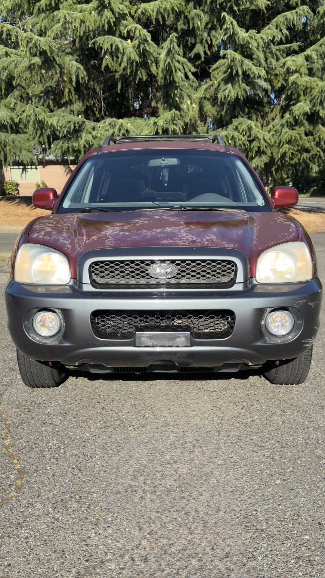 2004 Hyundai Santa FE