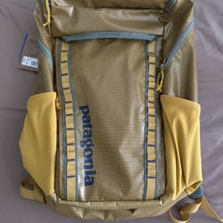 Patagonia Black Hole Pack 32L