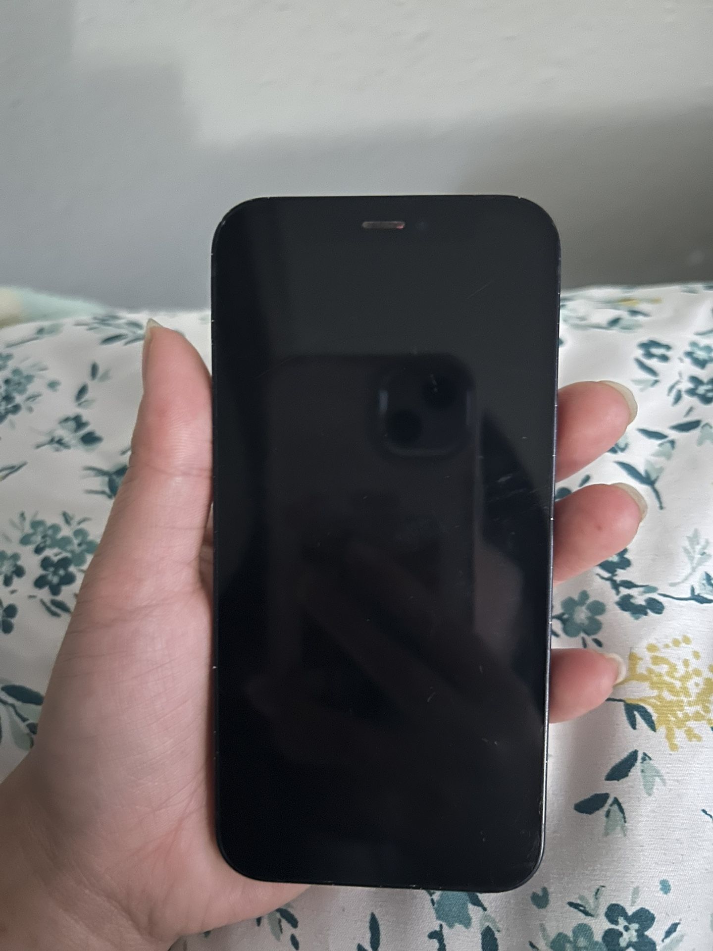 iPhone 12 Mini