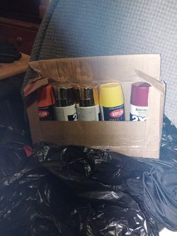 Krylon Spray Paint 12oz