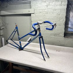 Vintage Schwinn Project