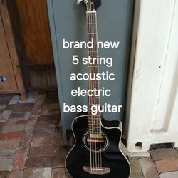 Brand New 5 String Acoustic Electric Bass Guitar 
