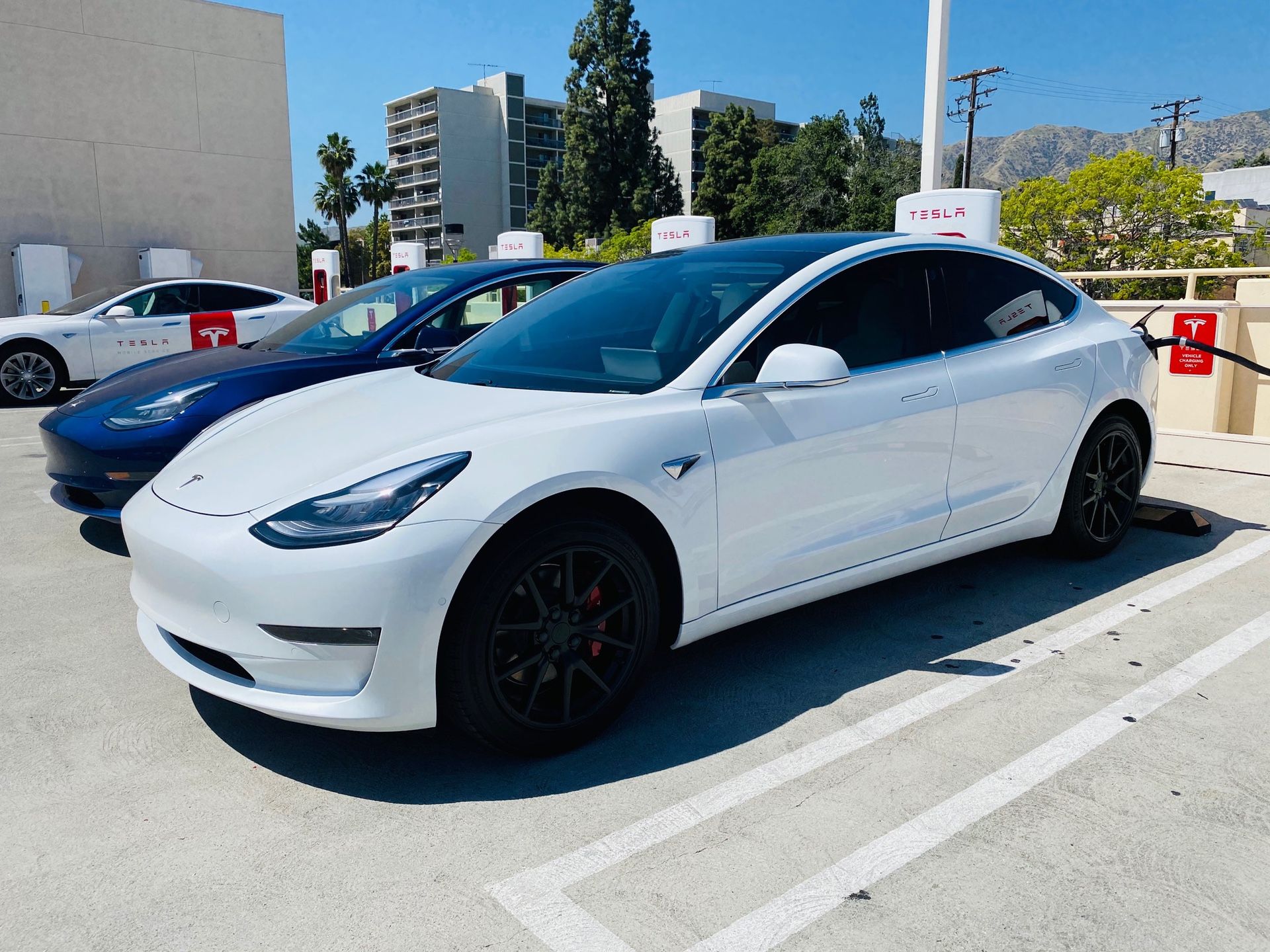 2019 White Tesla model 3