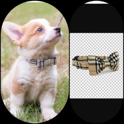 Bow Tie Dog Collar Necklace Chihuahua