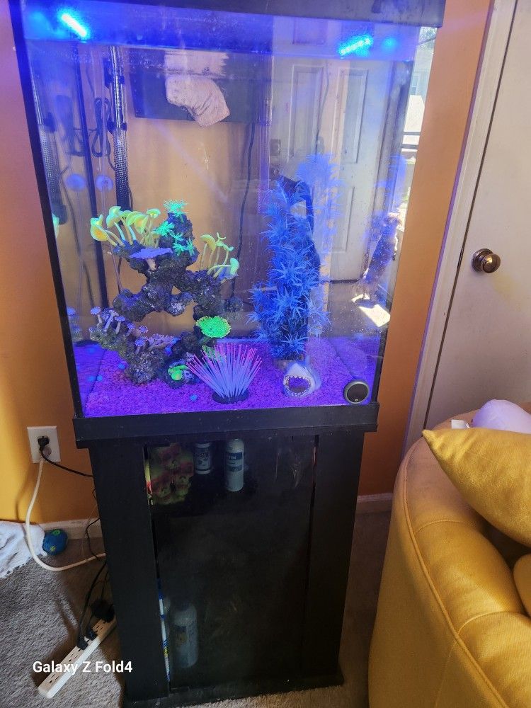 40gl Fish Tank