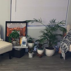 Set of 2 Cream Accent Chairs — Fair Condition | Smyrna , GA